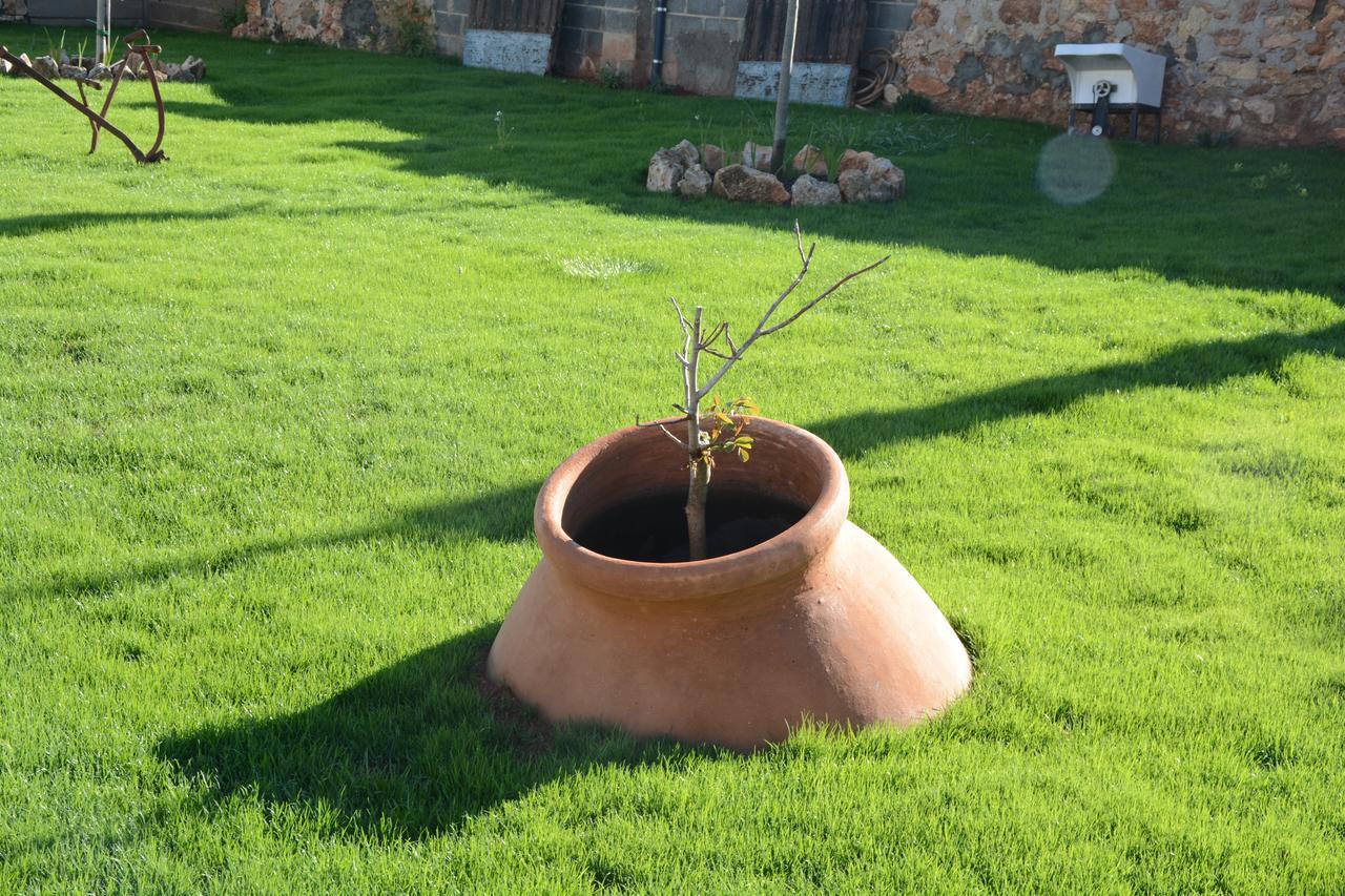 Casa Rural Aromas De La Manchuela Alborea Kültér fotó